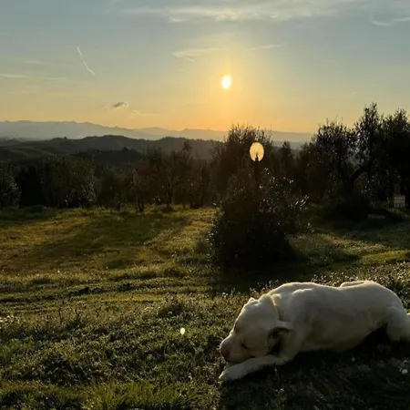 Charming Countryside Stay Σπίτι διακοπών